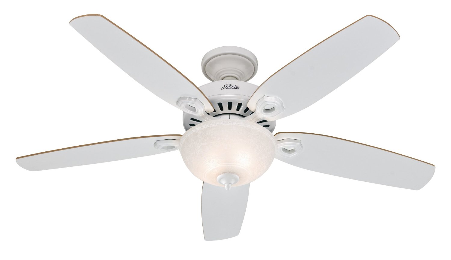 5 Best Hunter Ceiling Fans | Tool Box 5 Best Hunter Ceiling Fans | Tool Box
