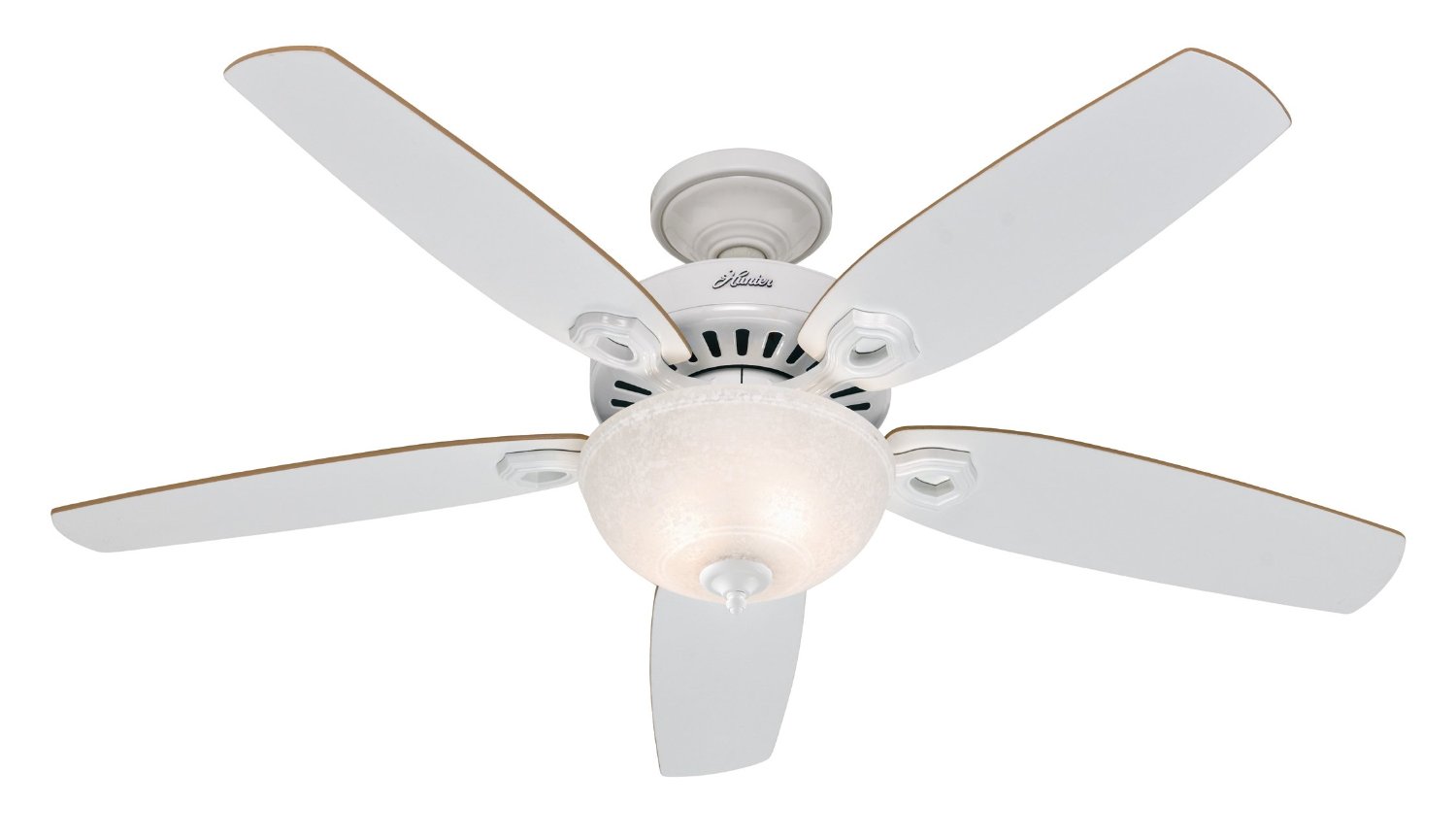 5 Best Hunter Ceiling Fans | Tool Box