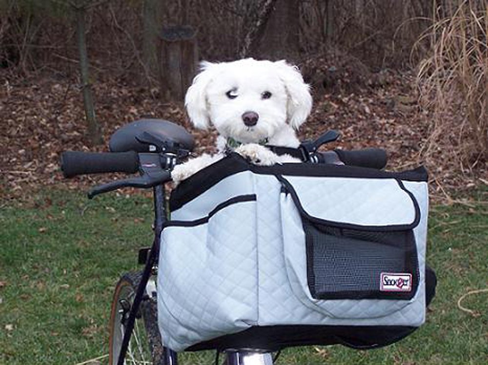 5 Best Pet Bike Basket Musthave item for bike riders that own small