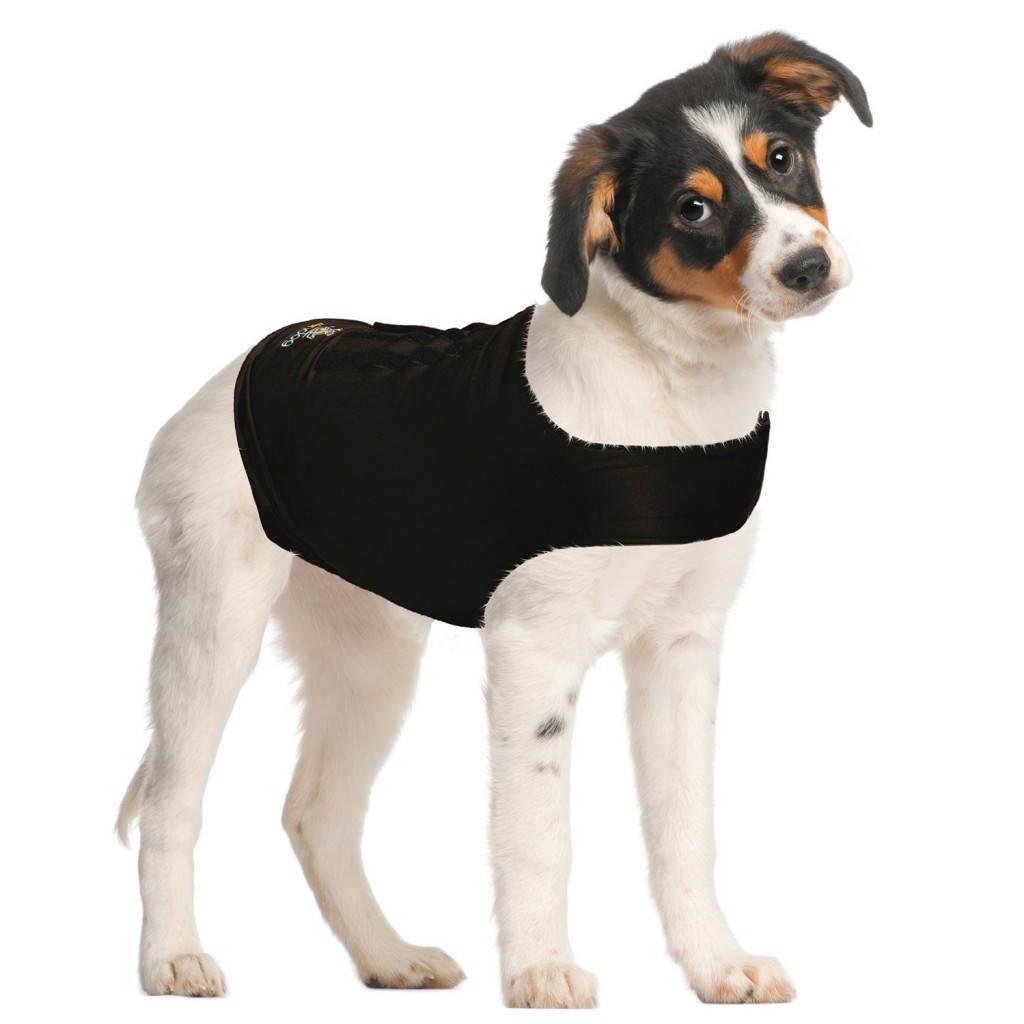 Calming Shirt For Dogs
 5 Best Dog Anxiety Shirt – Easy and efficient solution to calm and