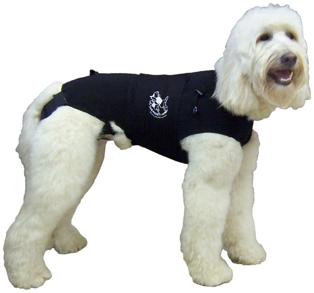 5 Best Dog Anxiety Shirt Easy and efficient solution to calm and