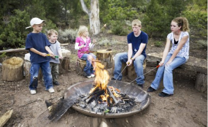 5 Best Marshmallow Roasting Sticks Must Have For Fire Pit