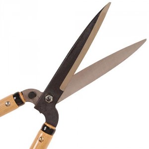 Hedge shears