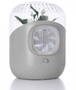 Home Air Purifiers