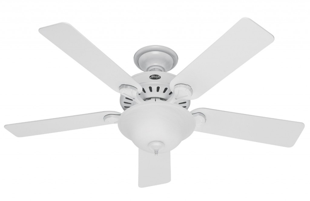 Hunter 28722 Pro's Best 52-Inch 5-Blade Single Light Five Minute Ceiling Fan