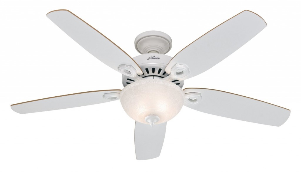 Hunter Fan Company 53250 Pro's Best 5-Minute 52-Inch 5-Blade Single Light Ceiling Fan