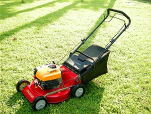 5 Best Lawn Mowers