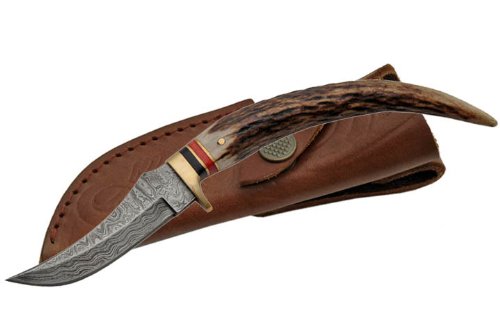 Szco Supplies Damascus Stag Tip Knife