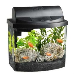 Aquarium Kits