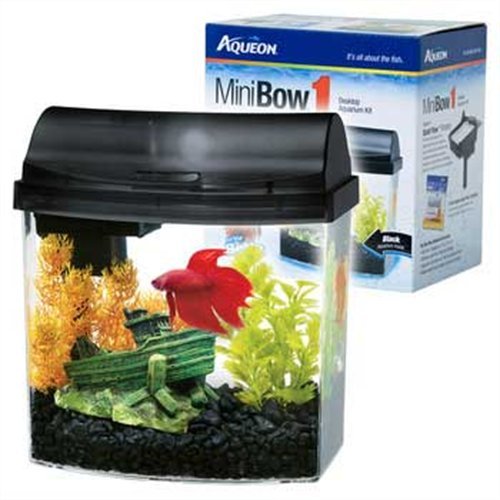 Mini Bow Desktop Aquarium Kit