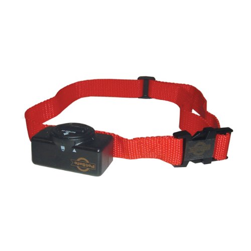 PetSafe Basic Bark Collar