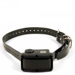 5 Best Bark Collars – A must-have of walking the dog
