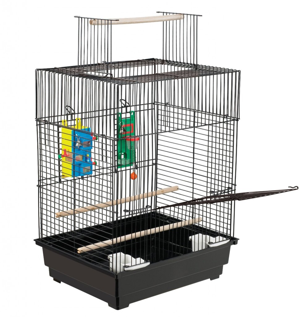 Super Pet Play n Learn Cage for Parakeet