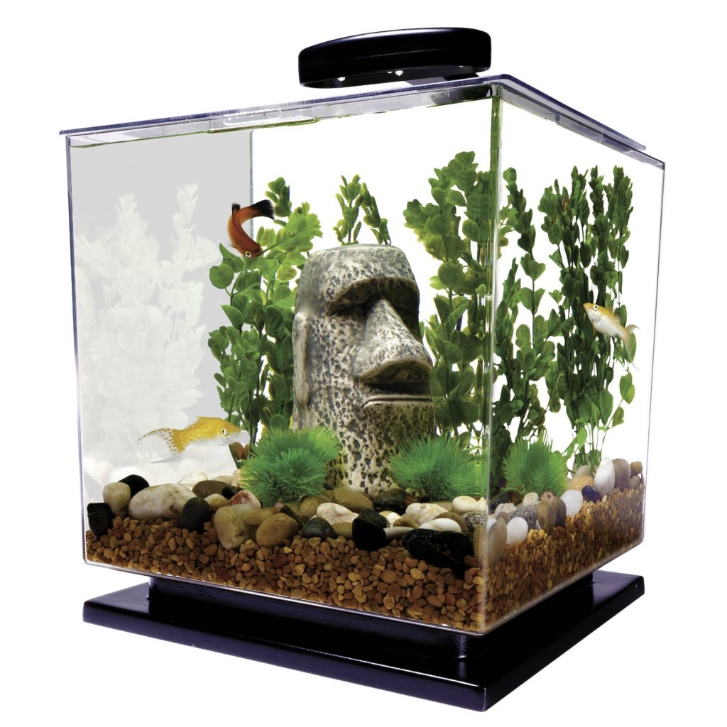 Tetra Cube aquarium kit