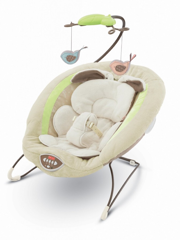 Fisher-Price Deluxe Bouncer