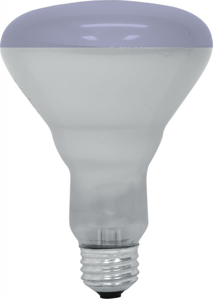 GE Lighting 20996 65-Watt R30