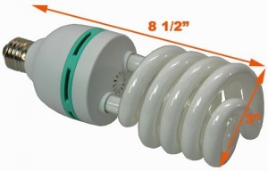 5 Best Grow Light Bulbs – Good for plant’s growth