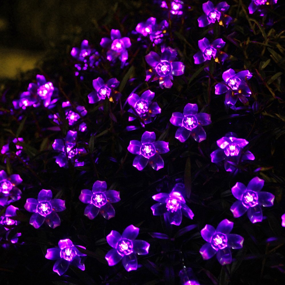 Innoo Tech Purple 5M 50 Led Blossom