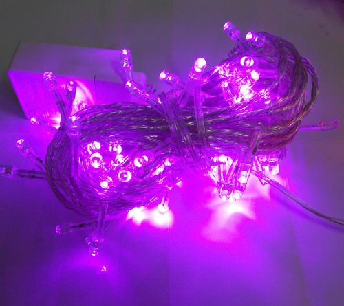 Purple Color 10m 33feet 100 Led