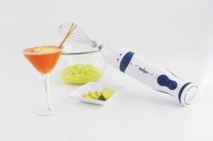 2 Speed Immersion Hand Blender