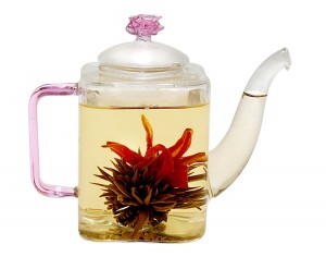 Tea Beyond Glass Teapot - A tea lover's must-have