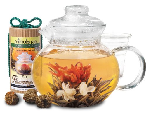 Primula 40 Ounce Blossom Glass Teapot with Tea Infuser