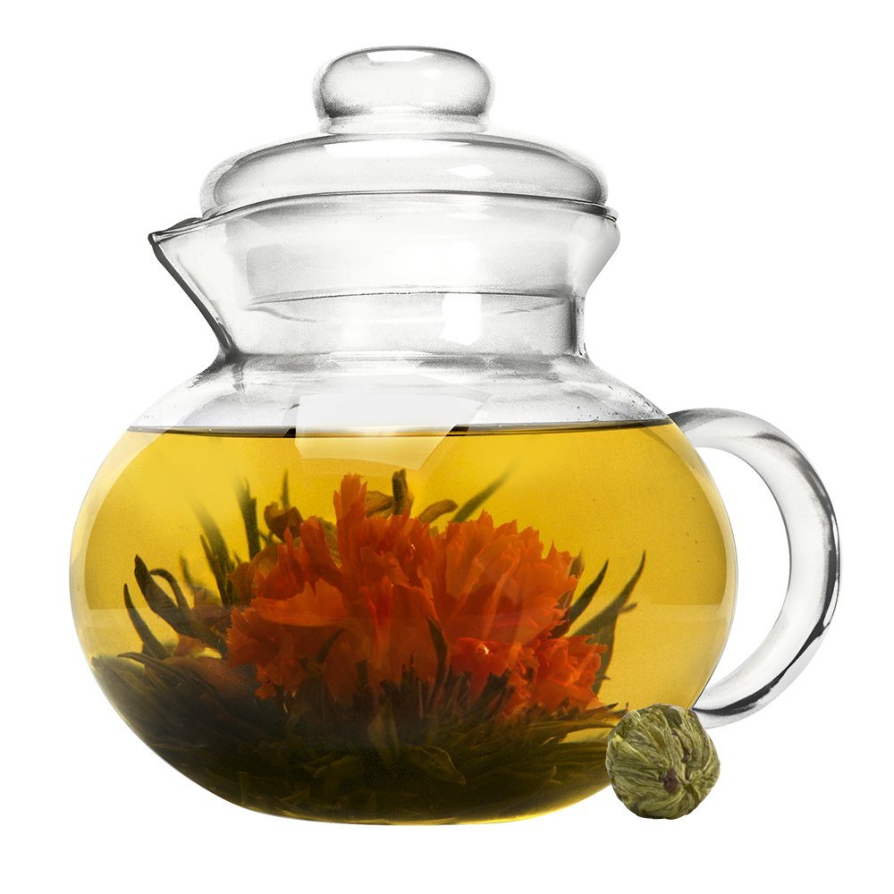 Primula Glass Stovetop Tea Pot