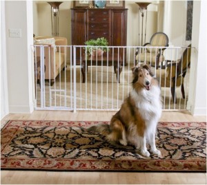 Carlson Pet Gate - Best protection to your pets