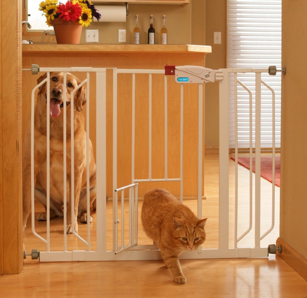 5 Best Carlson Pet Gate Best protection to your pets Tool Box