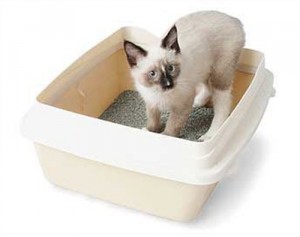 Petmate Cat Litter Pan - No more messy home