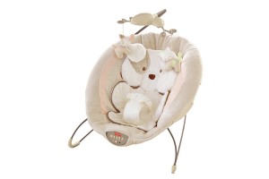 Fisher-Price Infant Bouncer - Great life savor