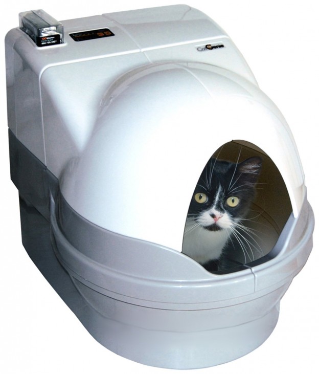 5 Best Dome Litter Box No more litter everywhere in your house Tool Box