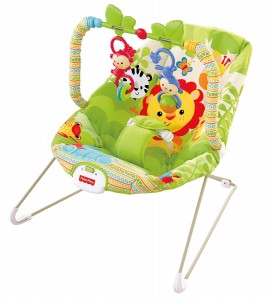 5 Best Fisher-Price Infant Bouncer – Great life savor