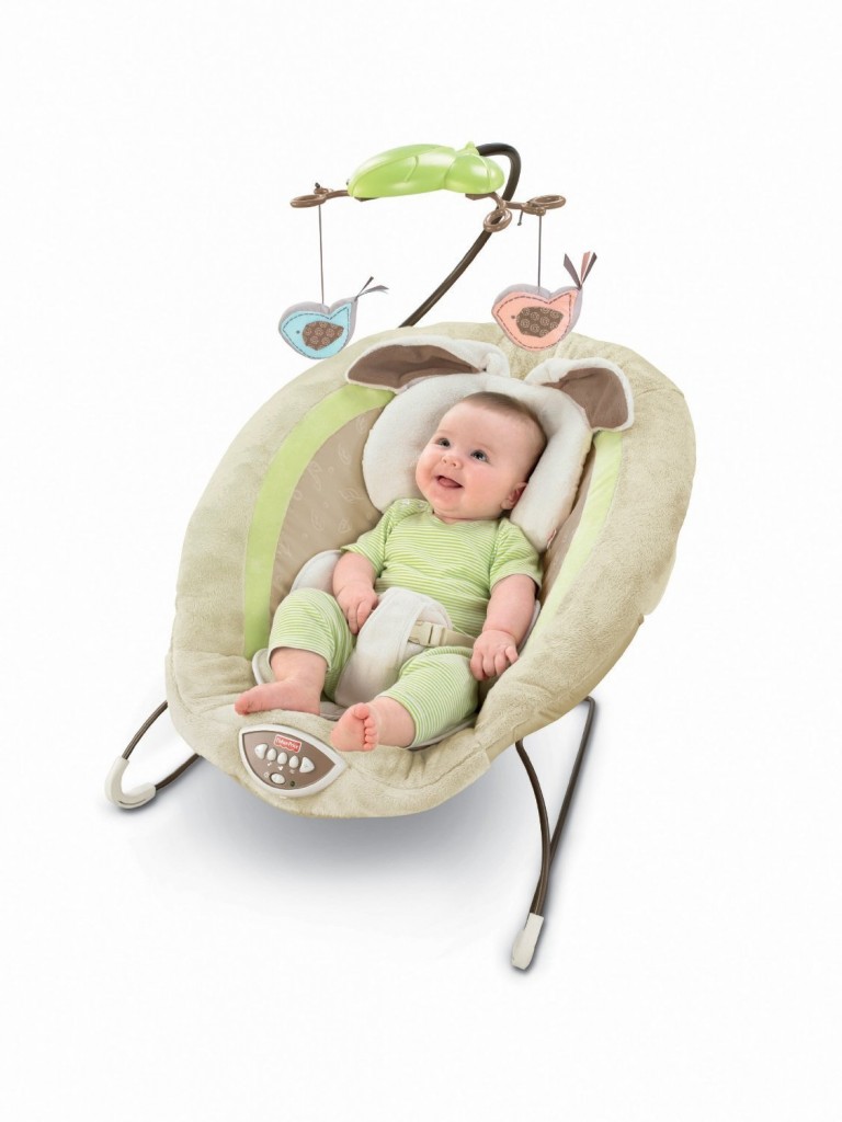 Fisher-Price Deluxe Bouncer