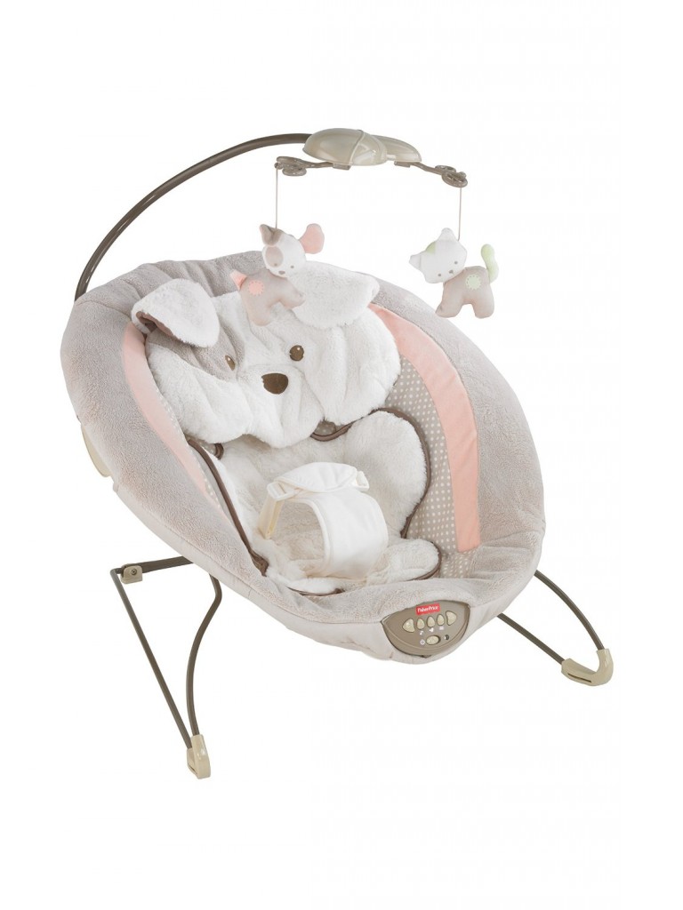 Fisher-Price My Little Snugapuppy Deluxe Bouncer