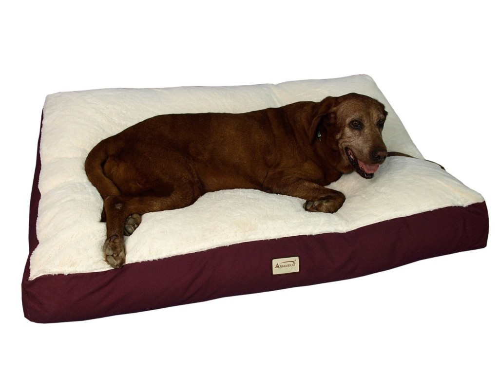 Armarkat Pet Bed