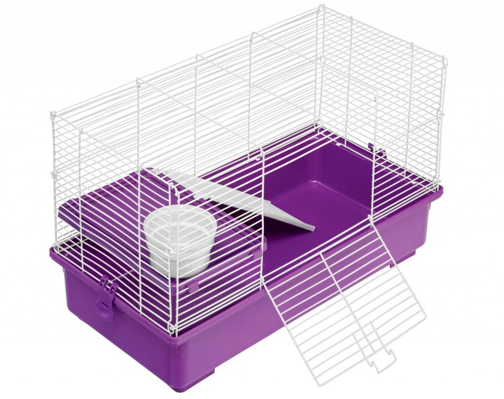 Kaytee My First Home for Pet Rats
