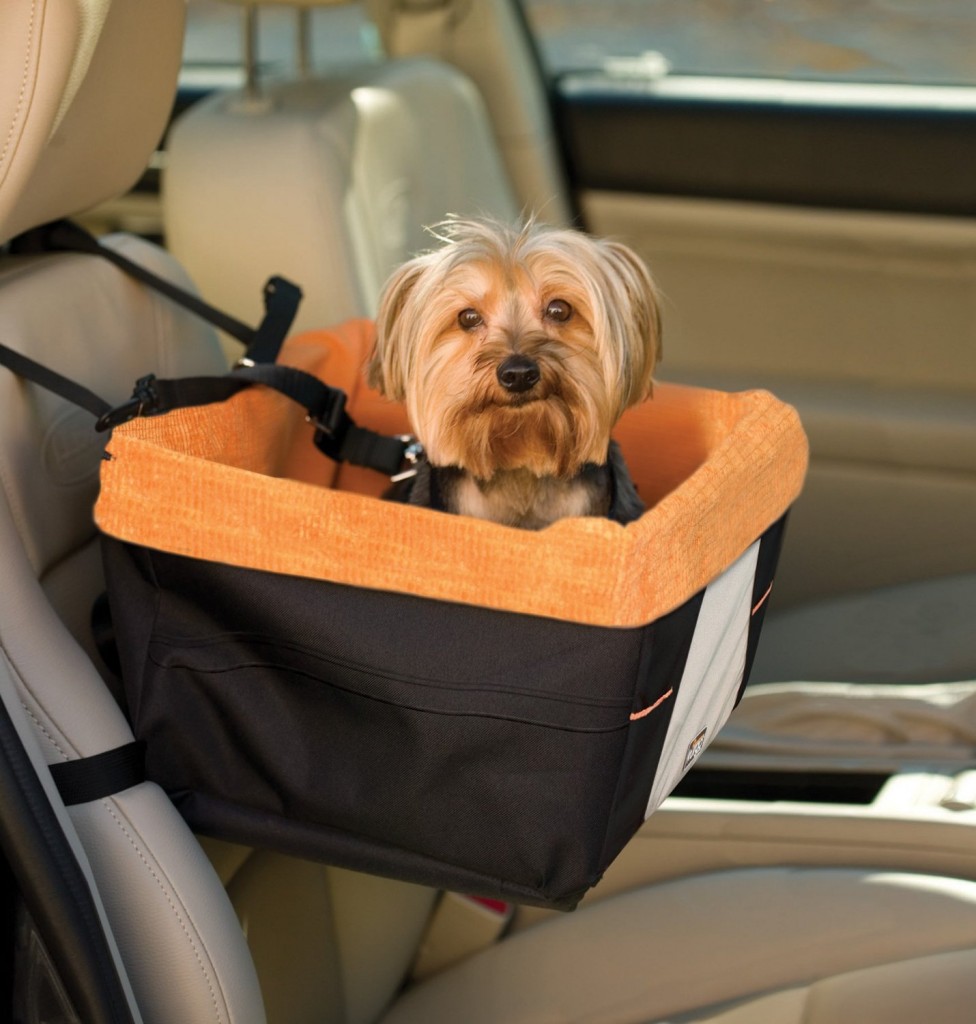 Kurgo Skybox Dog Booster Seat