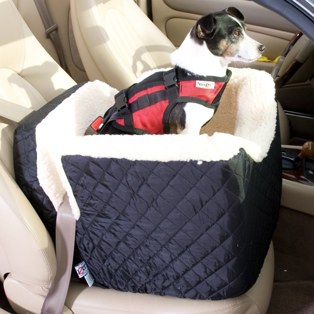 Snoozer Lookout Car Seat