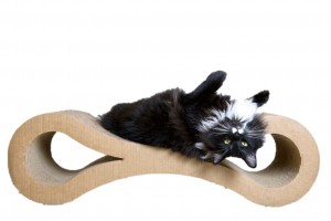 5 Best Cat Scratcher Lounge – For your cat to play, nap and scratch