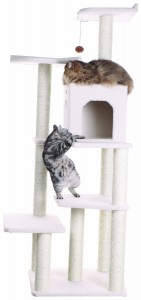 5 Best Cat Tree – A perfect toy for your cat to play, explore and relax