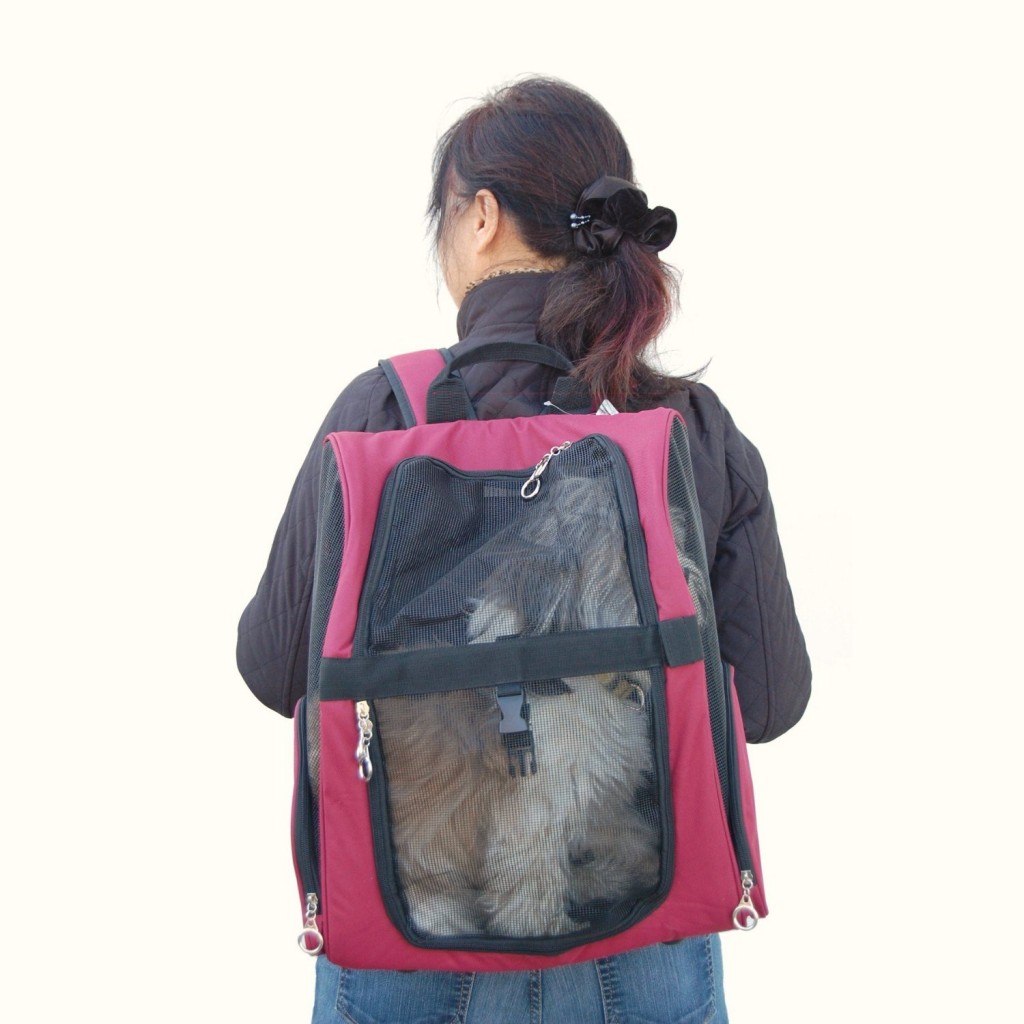 Backpack Pet Carrier