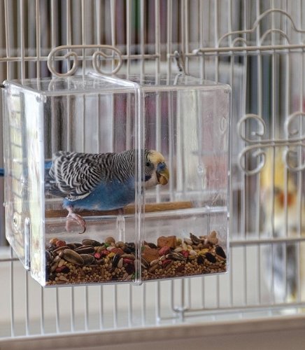 Corral Seed No-Mess Bird