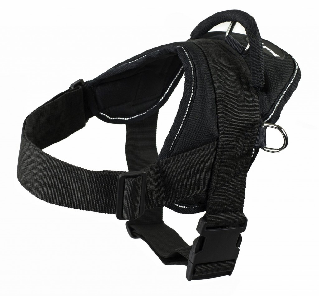 Dean and Tyler DT Dog Harness