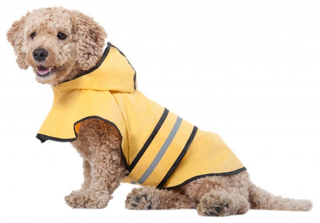 Fashion Pet Rainy Days Slicker