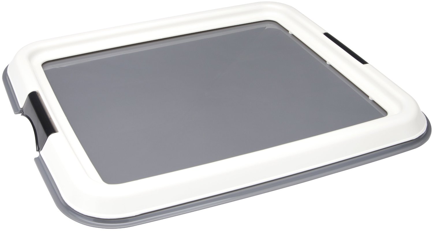 5 Best Training Pad Holder Simple solution to minimize your mess