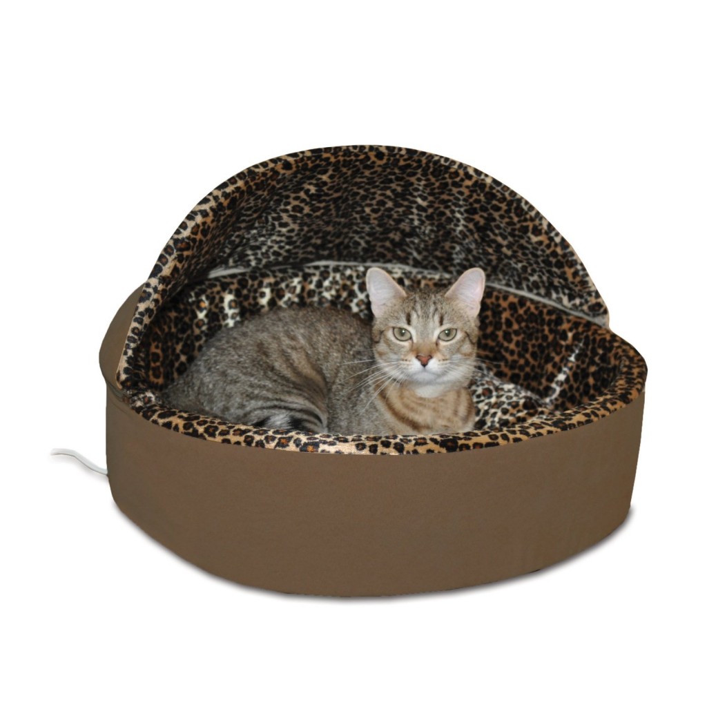 cat post with bed