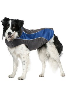 5 Best Dog Winter Coat – Your dog will enjoy this winter
