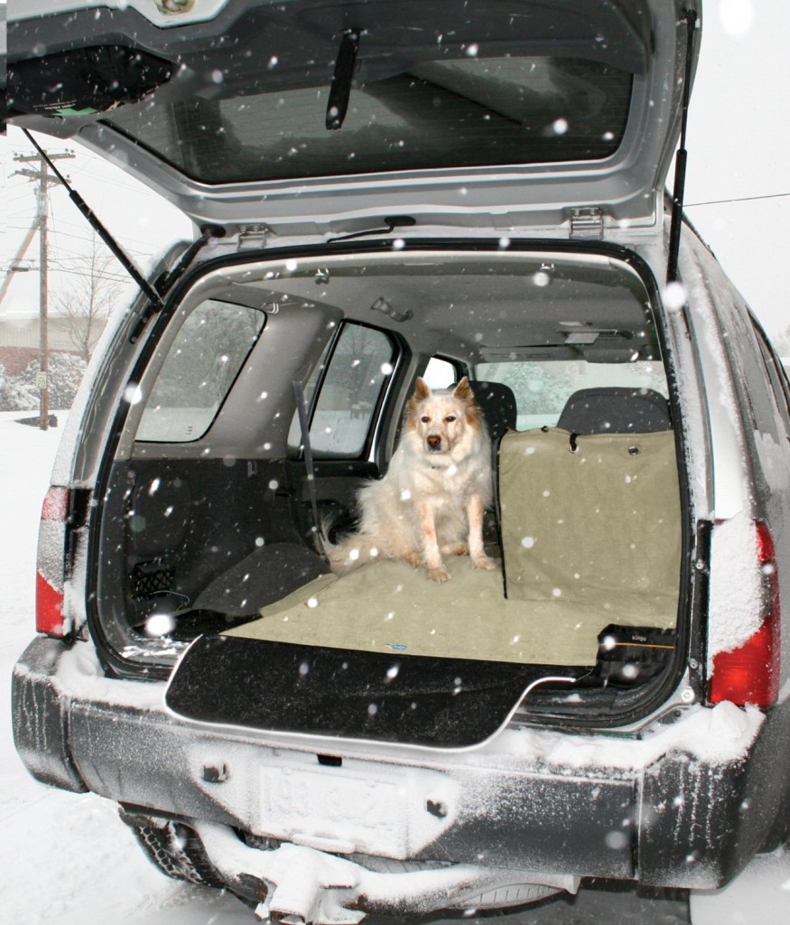 Kurgo Cargo Cape