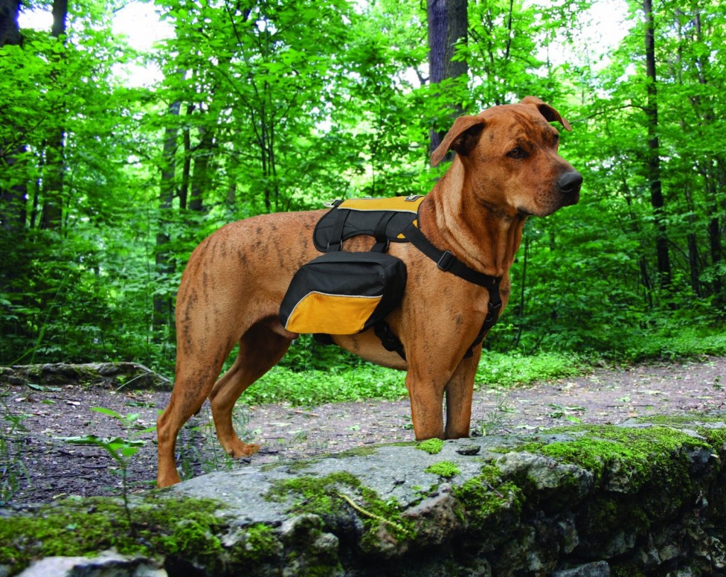 Kurgo Wander Dog Pack